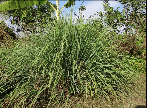 c2a3246c0a543d49265ba370b965d025