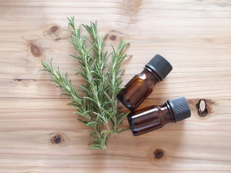 d7abd9c8f4d100574ad9348b390a6d9a_m-1