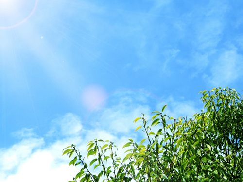 5568b02f1e886d8761ba778987781389_s