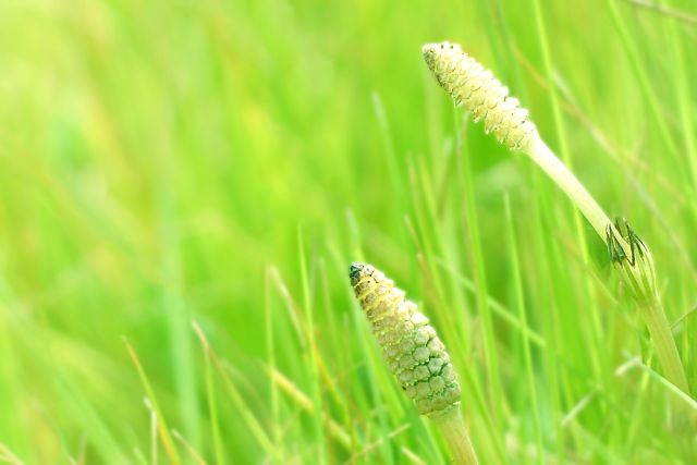 58b938f7e386ef49b1fd1fc57c4b98c5_s