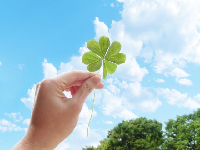 7f1c9bc715f39ecafbfc95f73a447da1_s