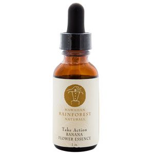 acc87cc3595f104aa38cd4700c5f40d9