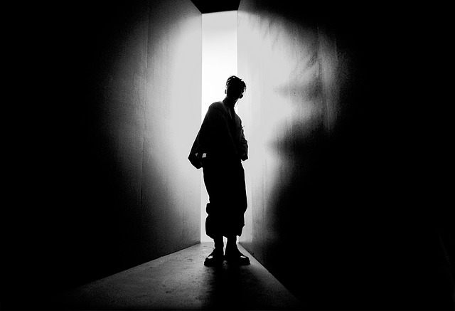 kwon-ji-yong-2525598_640