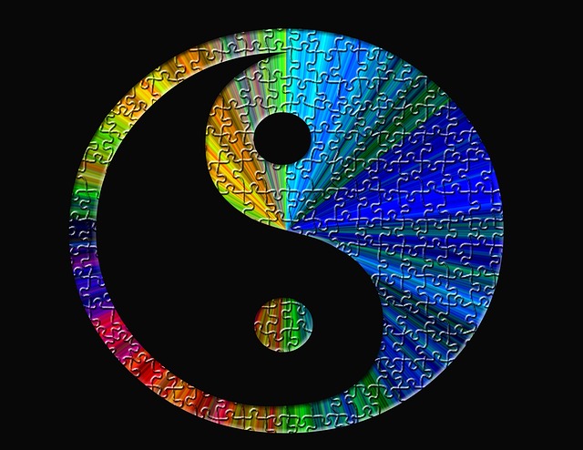 yin-yang-93980_640