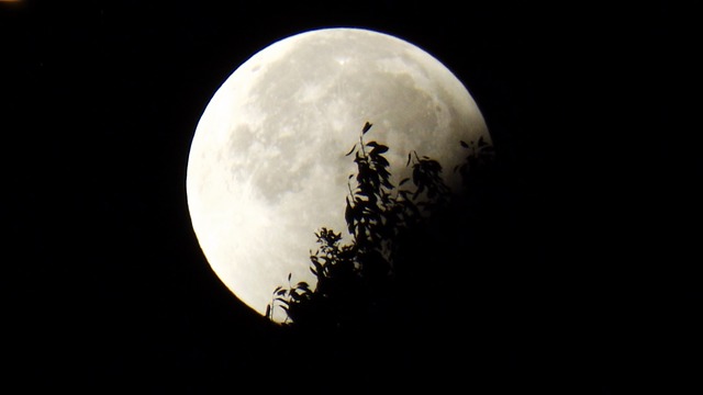 moon-961850_640