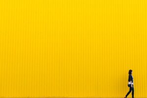 yellow-926728_640-300x200