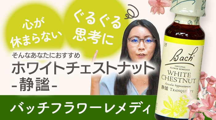 thumb_blog_whitechestnut