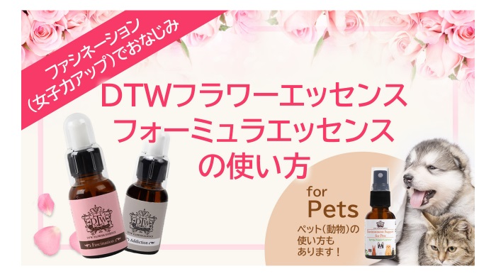 thumb_dtw_formula_blog