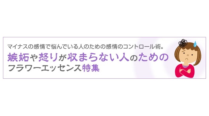 smh_titlebanner_envy_blog