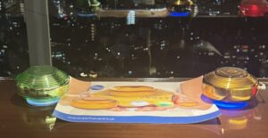 ソマヴェディック