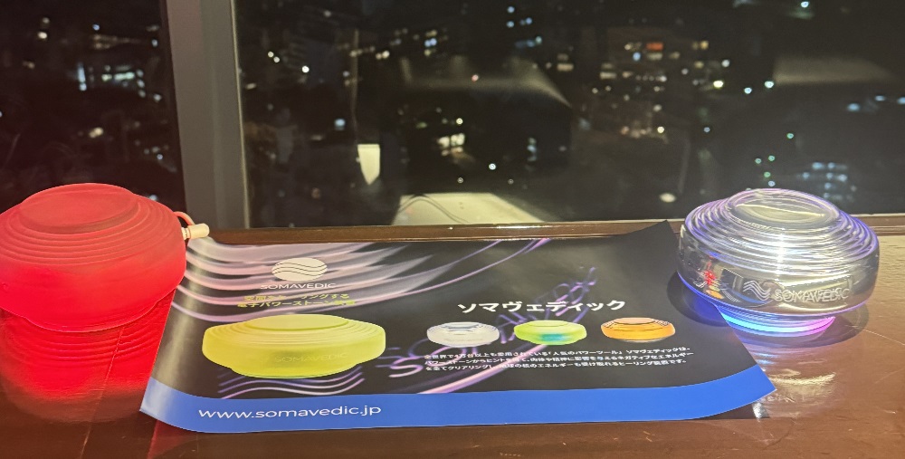 ソマヴェディック