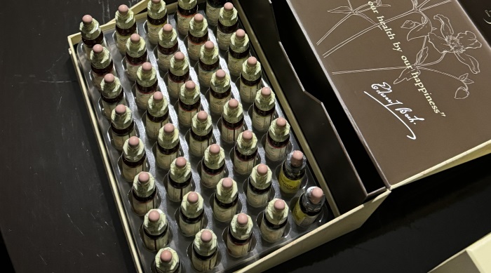 バッチフラワーレメディ一覧