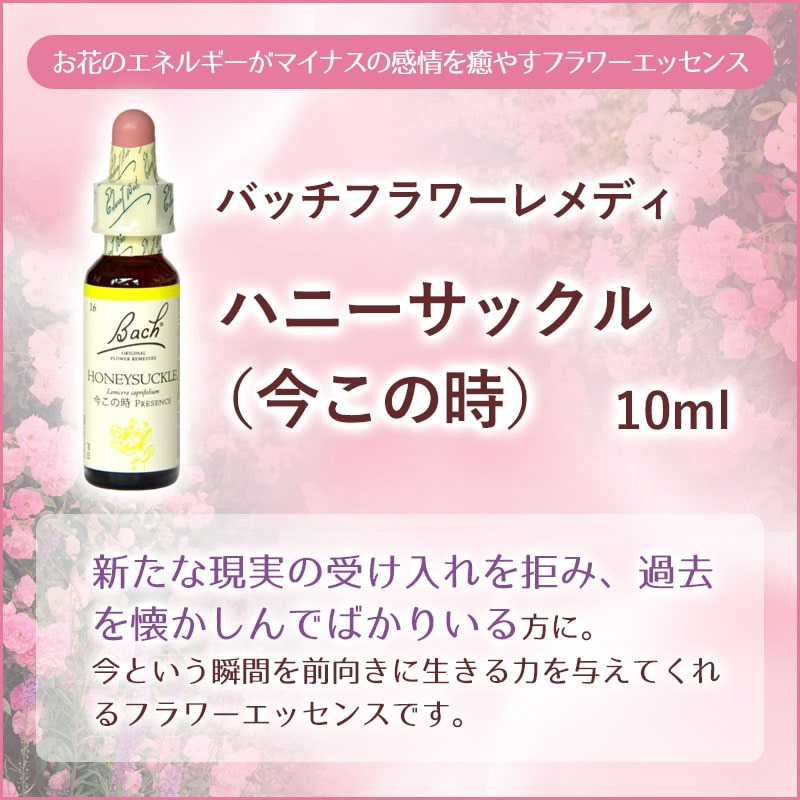 ハニーサックル