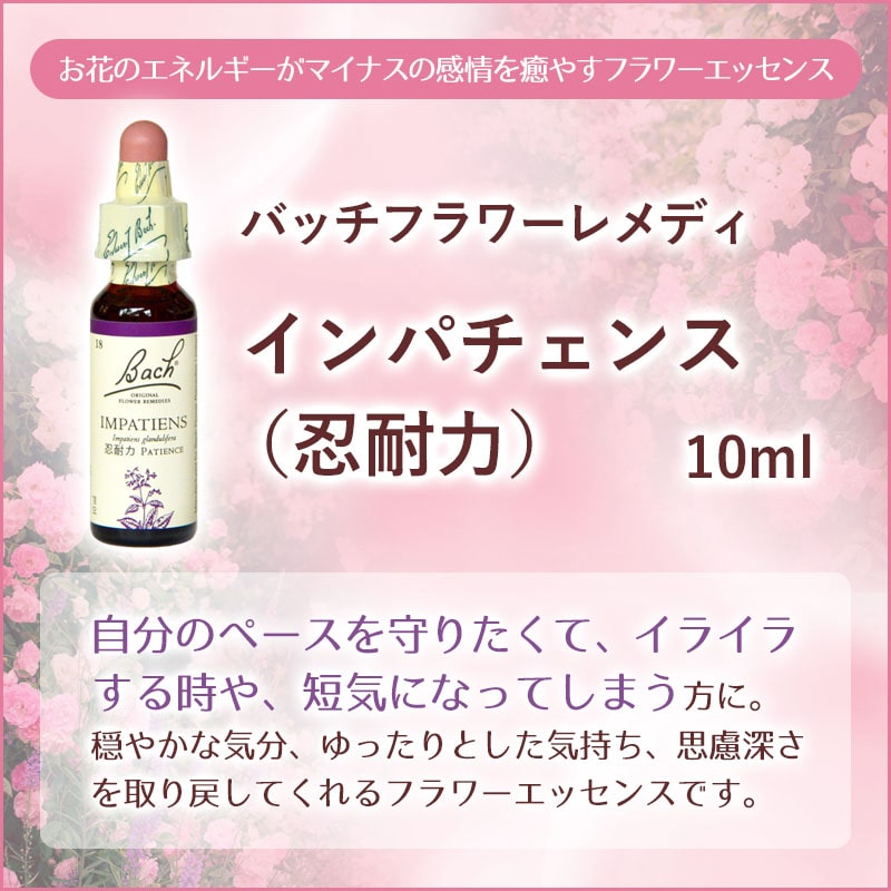 インパチエンス