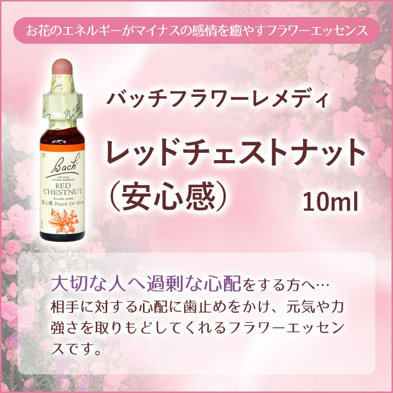 レッドチェストナット