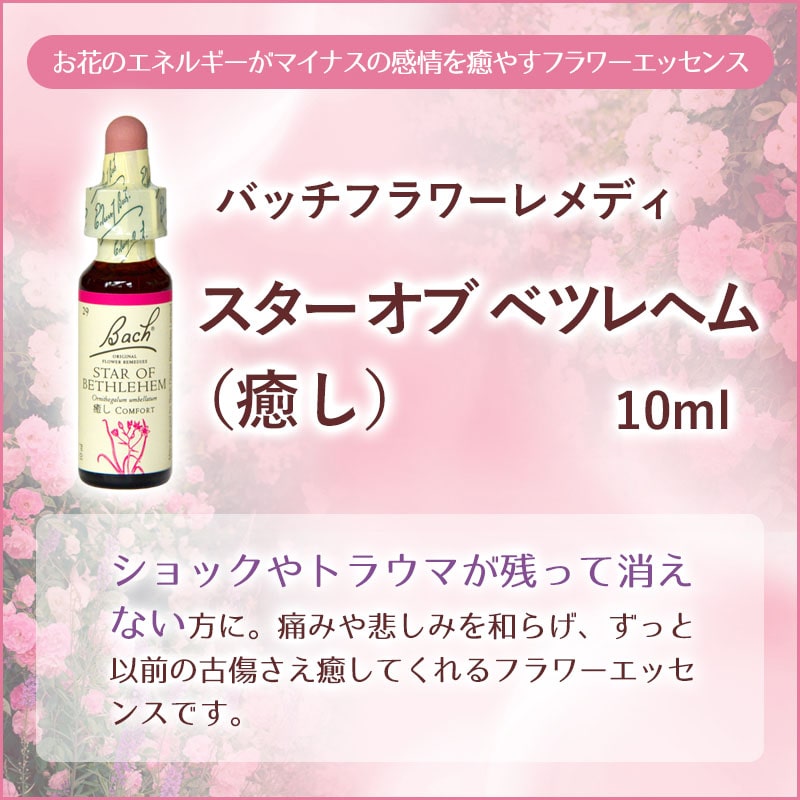 スターオブベツレヘム