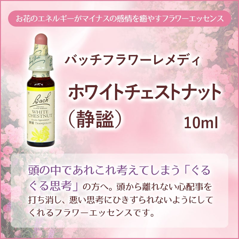 ホワイトチェストナット