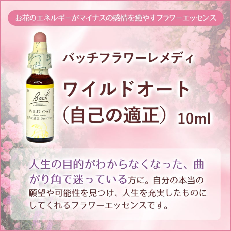 ワイルドオート