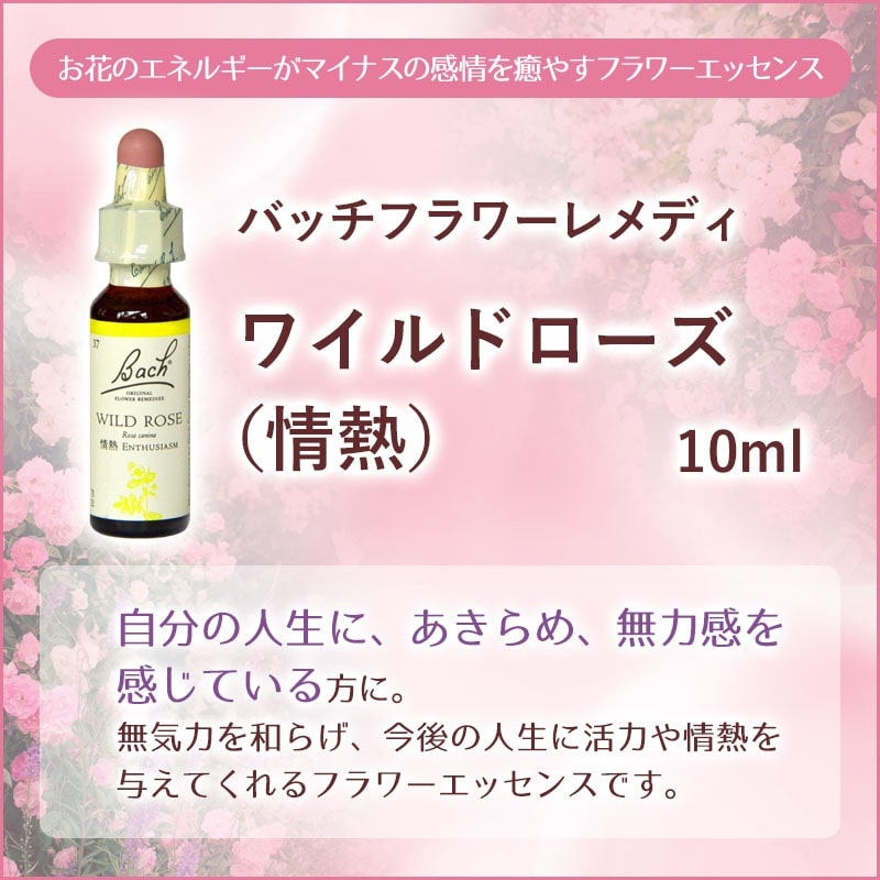 ワイルドローズ