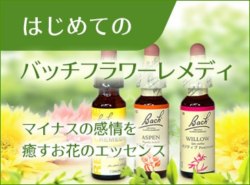 はじめてのバッチフラワーレメディ