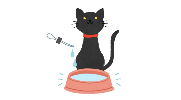 バッチフラワーレメディ　ペット