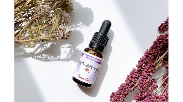 newitem_2025.4.11_blog