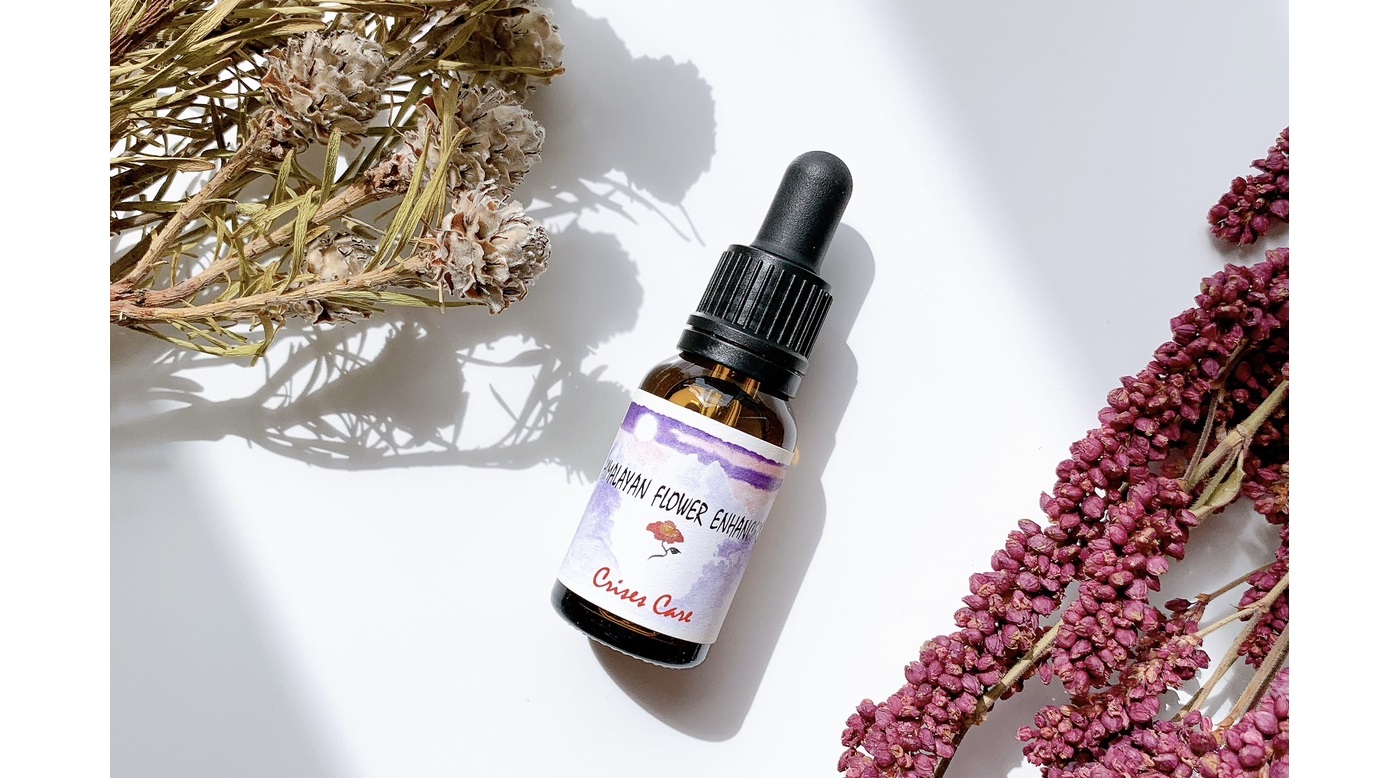 newitem_2025.4.11_blog