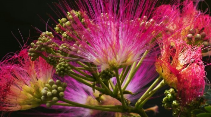 thomas-fore-ImR5zPXaxFA-unsplash-1024x731