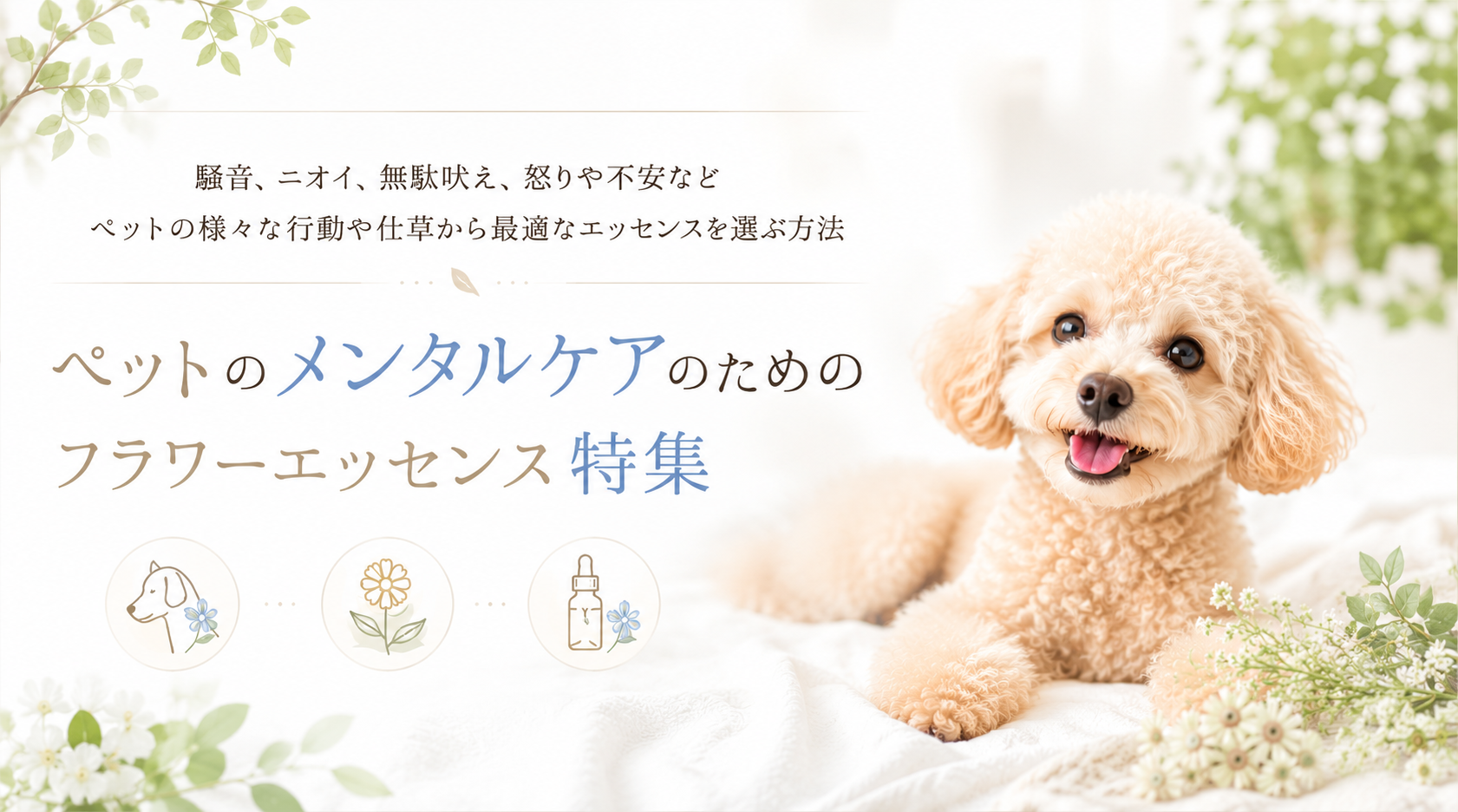 pet_Flower essences