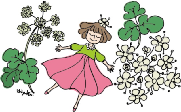 【シャンドゥルール】新発売！人生をデザインするためのフラワーエッセンス「 長命草(ちょうめいそう)」