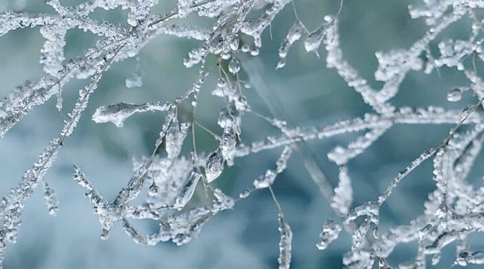 brigitte-elsner-blog