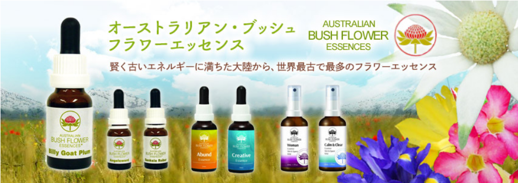 Australian-Bush-Flower-