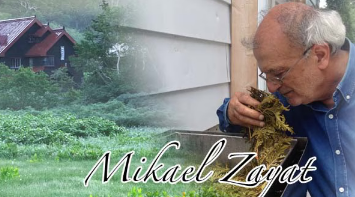 MichaelZayat_blog