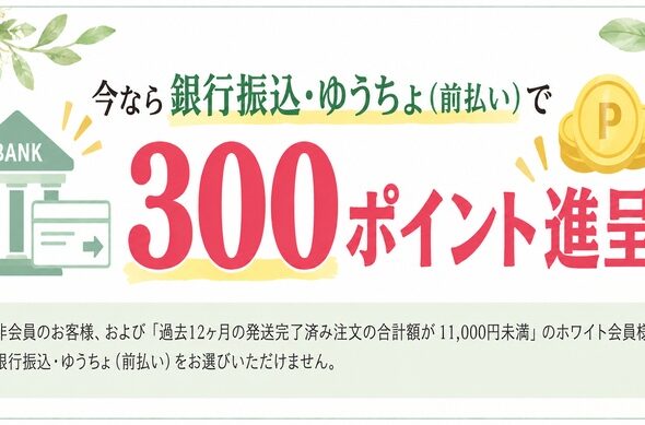bank_transfer_300points_700x389_under200KB(1)